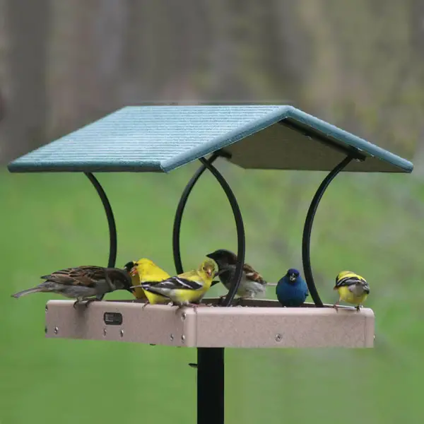 Birds Choice Recycled Fly Thru Feeder With Green Roof - Large