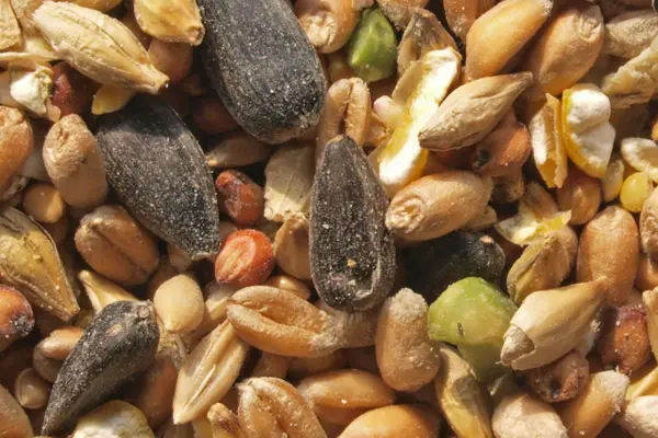 Bird Seed Blends and Mixes