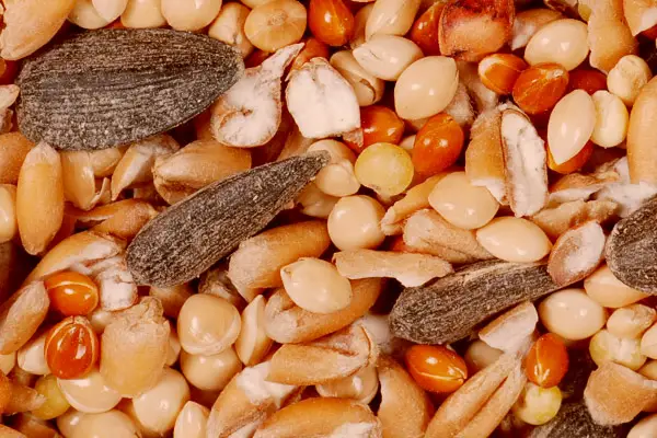 Hot Pepper Bird Foods