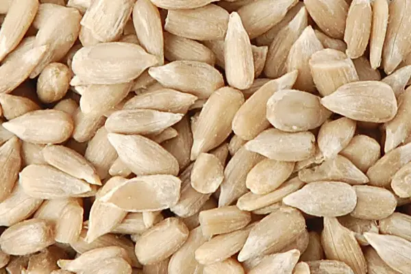 No Waste and No Mess Seeds