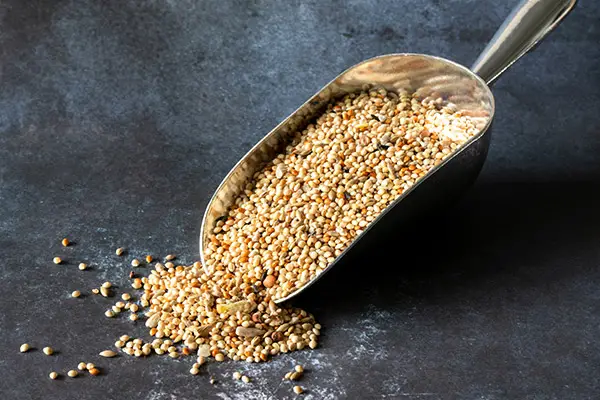 Seed Scoops and Storage