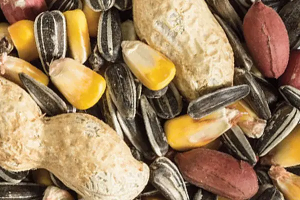 corn and nuggets for wildlife